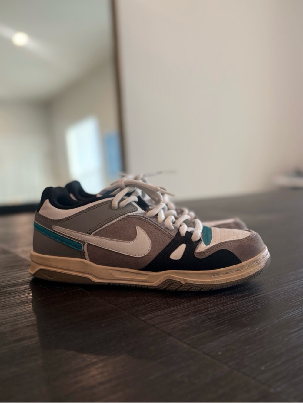 Y2K Nike Gray Teal SB Dunk Air Zoom Oncore 6.0